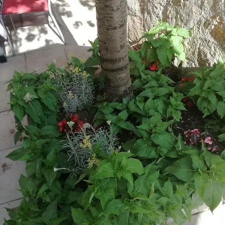 Appartement Lea Podstrana